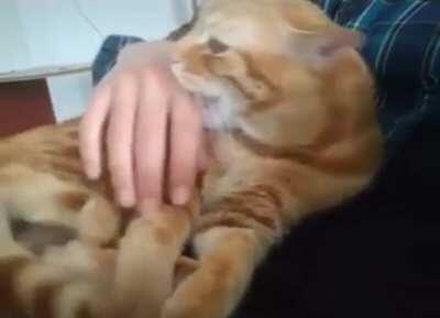 No, no...like this. There ya go buddy.