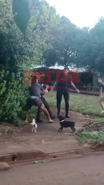 Violento operativo policial en Campo Viera para detener a un conocido ladrón de cultivos apodado 