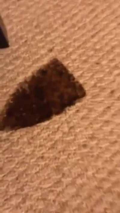 Always remember to turn off your iron.