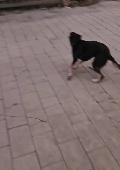 Those who knows needs no reminders and those who doesn't can never understand.... ❤️