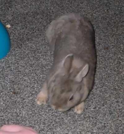 What can we name this technique?