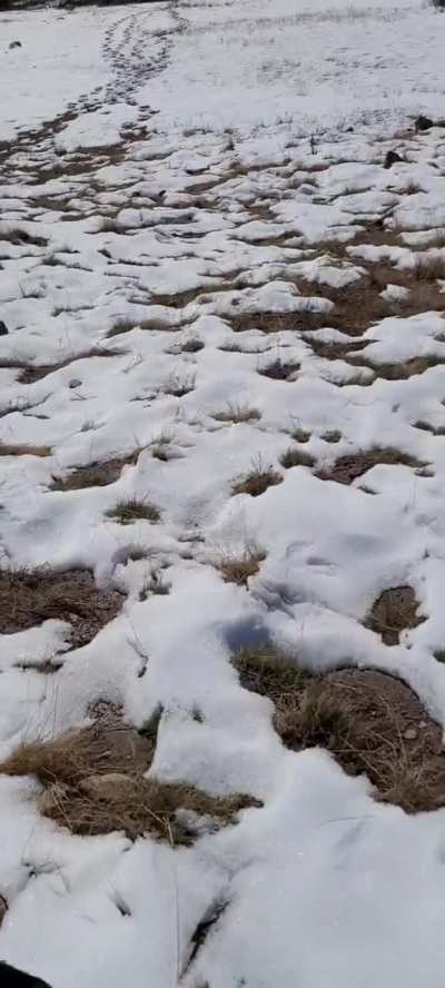 It's snow zoomin time 😄