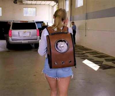 Taylor in booty shorts!