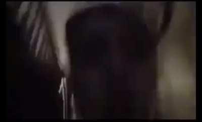 Be fallin down the stairs'