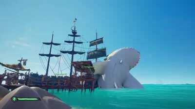 Had an... interesting time