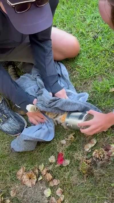 Family rescues cat stuck in a can