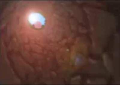 Story of the great cave offensive 