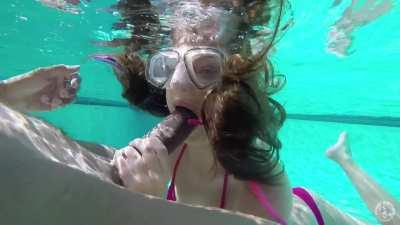 Elektra Rose blows him in the pool