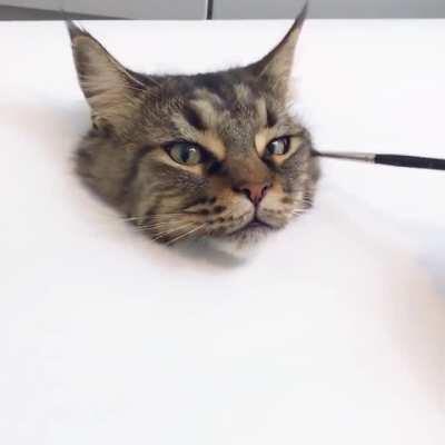 Part time art exhibit