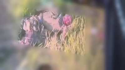 Russian soldier attempting to suicide, and receives hit by FPV drone (publishing date 01/09/2025)