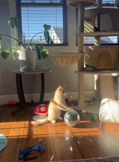 To have a sense of wonder