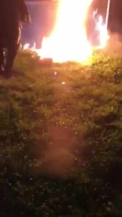 Sorry if this has been here before