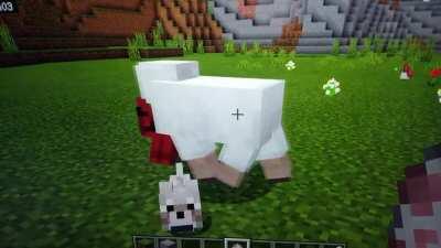 I just tamed this dog when it was killing a sheep, and it happened....