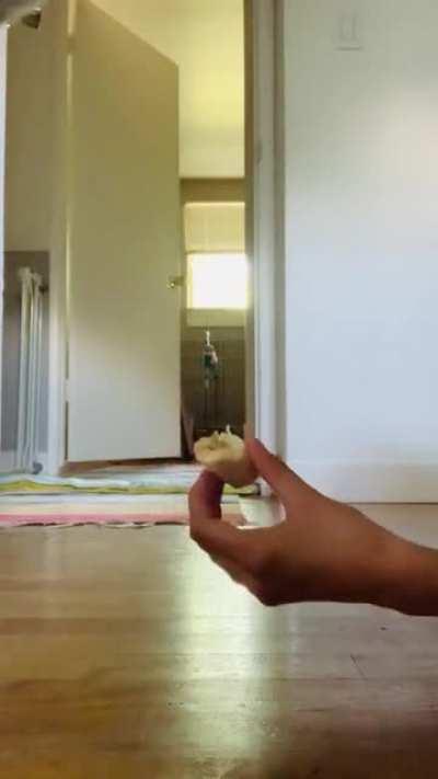 Comin in hot for banana!