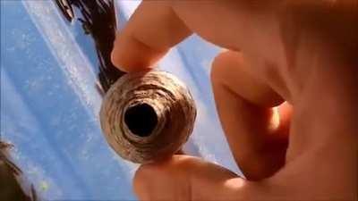 Yo wtf why would you do that?!