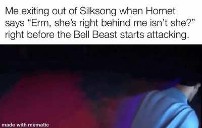 It will be kinda strange that the protagonist will be able to speak in Silksong.