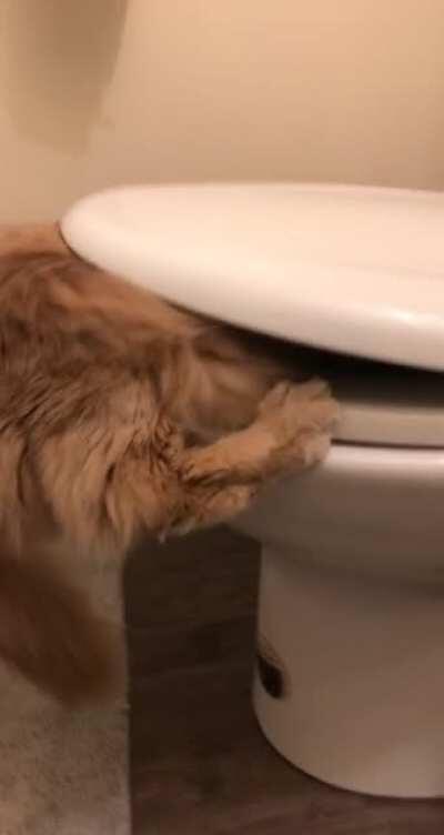 I swear he has alternative means of acquiring water.