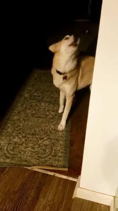 I was tooo slow with breakfast I guess 🍳🤣🤣