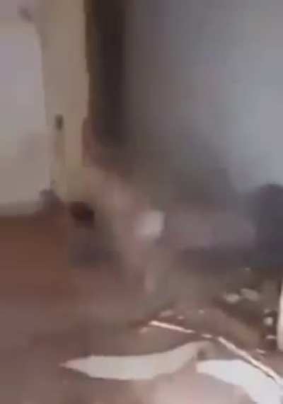 Slamming into wall. Wall wins.