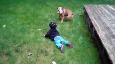 Dog Feels Bad for Prank .