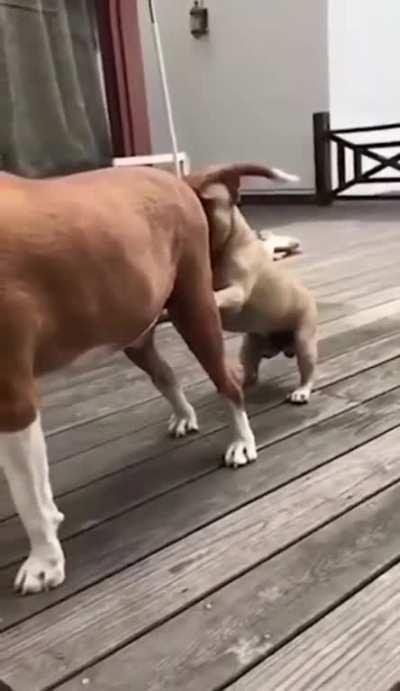 NSFW mistakes were made