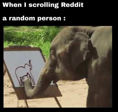 Reddit public access network