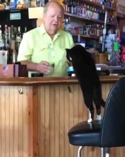 Одну воду и вискас, пожалуйста