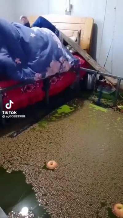 The longer you look the worse it gets