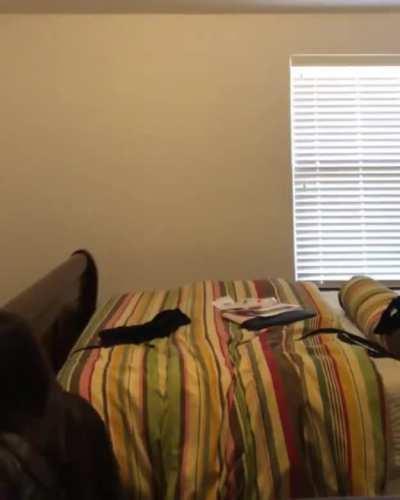 Instant Sibling Regret