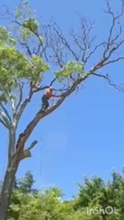 F#&ked this one right up