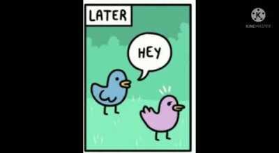 Aaakkalesthe annam pedta - the girl probably