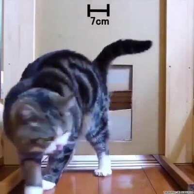 Physical examination