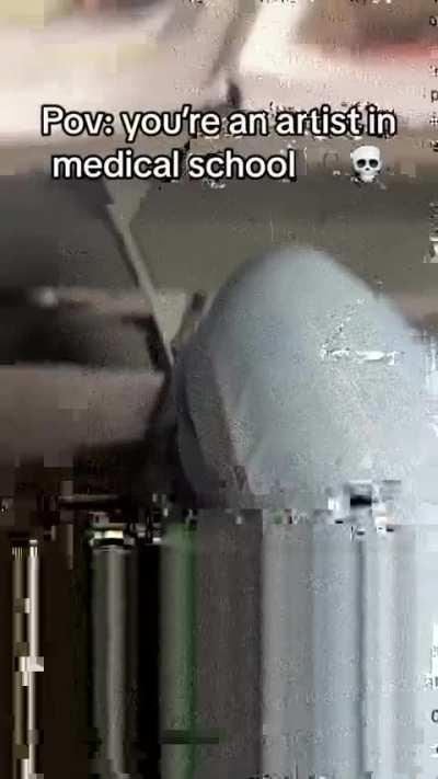 POV: you're an artist in a medical school