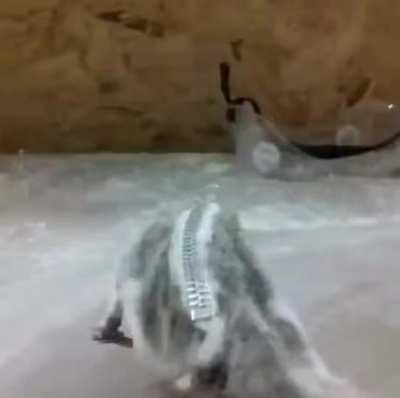 Your dream pencil case