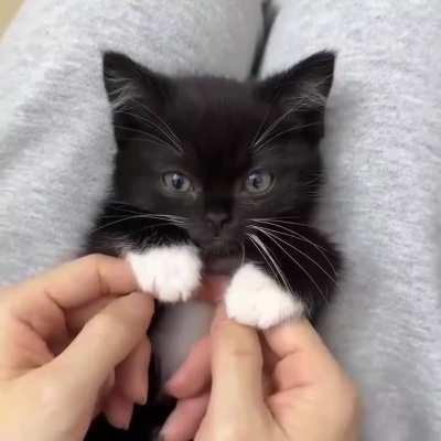 Paws-itively irresistible! 🥰