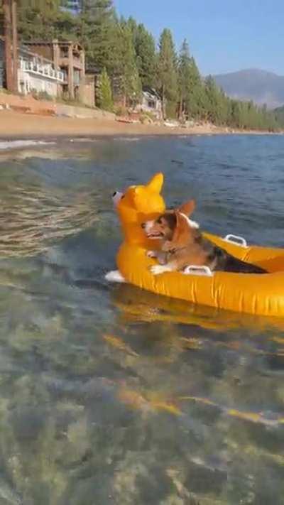 Nothing to see here guys.