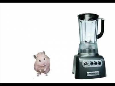 Hamster in a Blender WARNING NOT FOR FAINT HEARTED