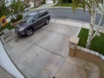 How The Actual Fuck Do You Drive Like This ?