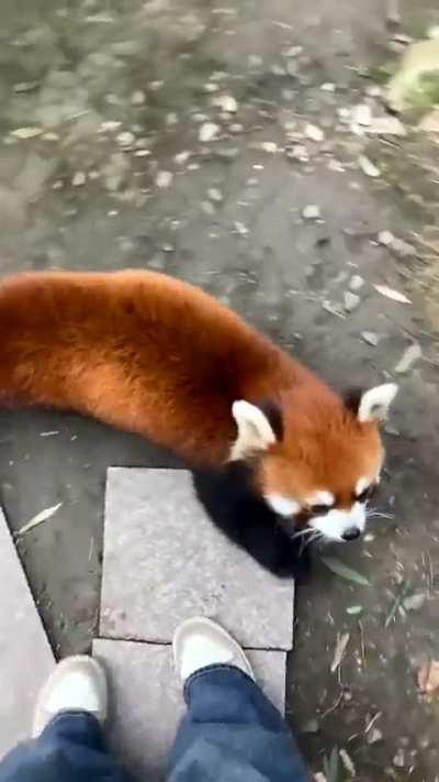 Please, let me hug you, okay?🥰🥰🥰