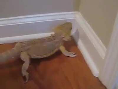 Not all heroes wear capes