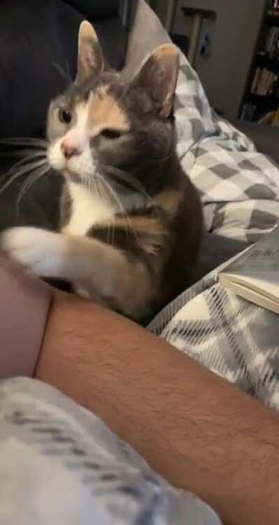 Please sir, just one pet