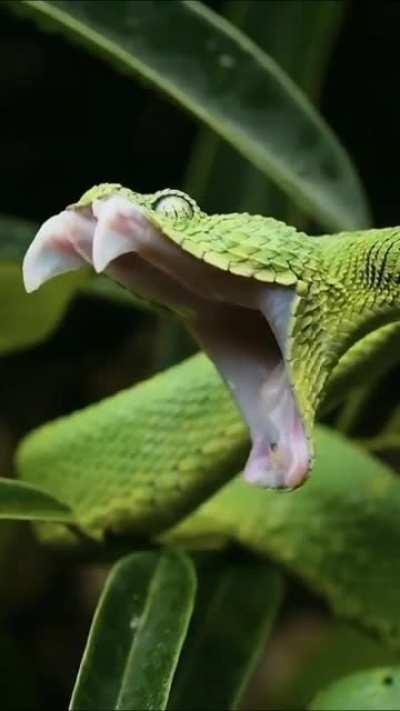 С добрым утром