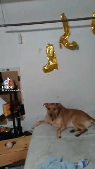 Forgot to put the meme tag