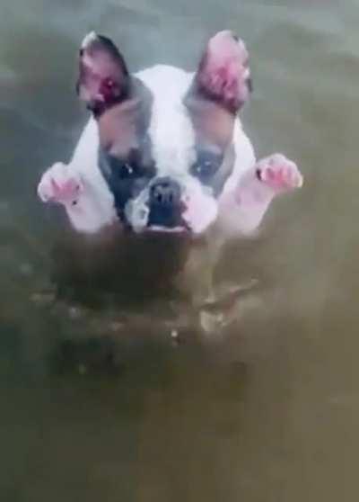 It’s cold & I saw a turd