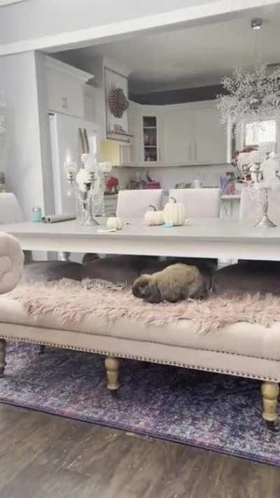 So happy, maybe a little too happy