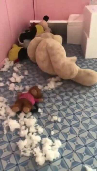 Destroyer Of TeddyBears....