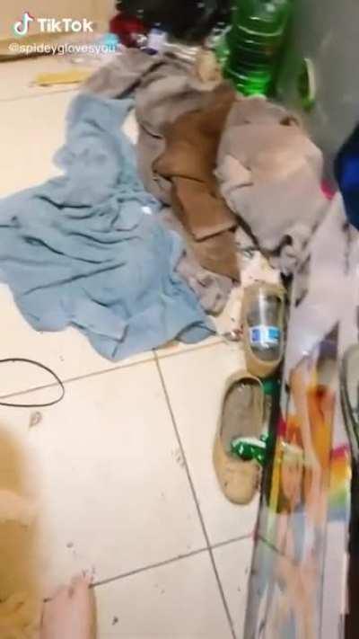 Bitch you live like that?