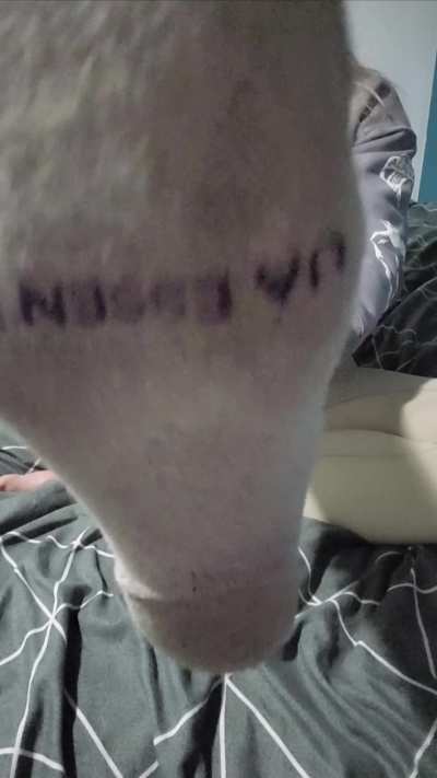 Close up of some dirty Under Armours 🥵