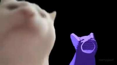 I’m 15 and this is yeet