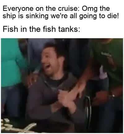 We're going home boys!